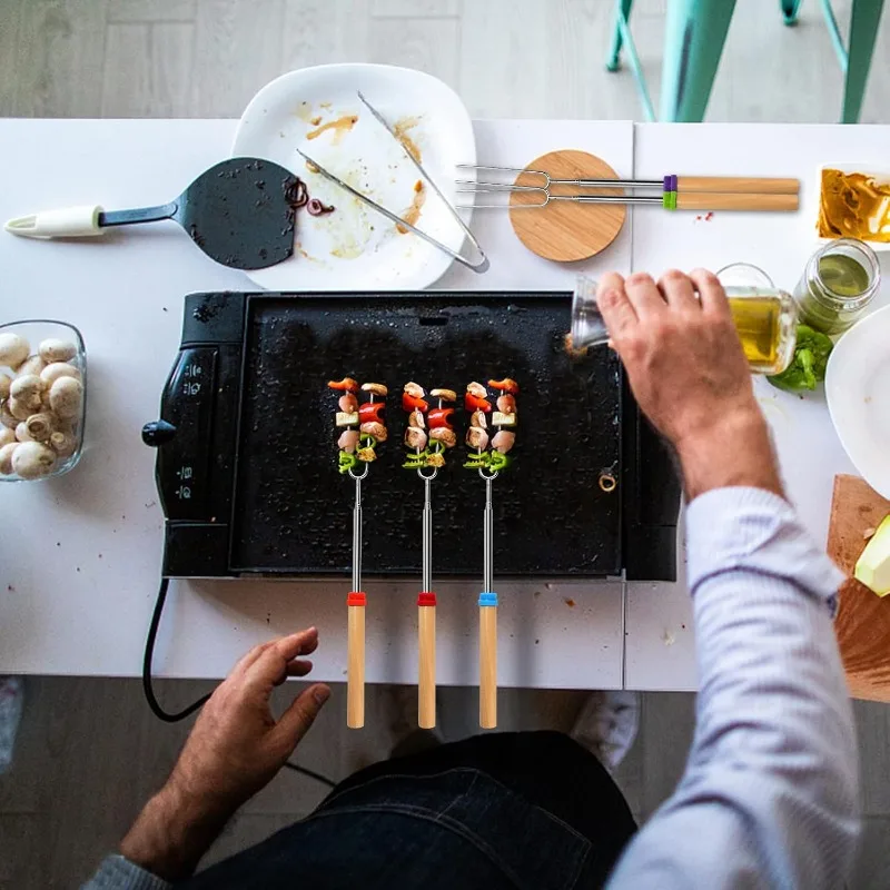 Stainless Steel Extendable Lon - Camping Cooking Grill review and price